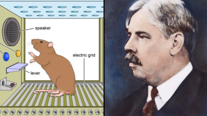 Skinner Box à esquerda e Edward Thorndike à direita